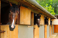 free Chetwynd Aston stable construction quotes